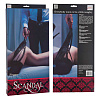 Плётка с атласной ручкой California Exotic Novelties Scandal Flogger SE-2712-30-3
