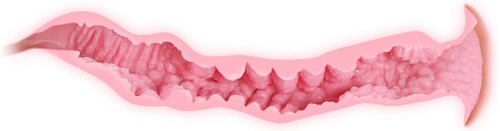 Мастурбатор телесного цвета с двумя упругими отверстиями для любви без вибрации KOKOS Veronia M01-003-06