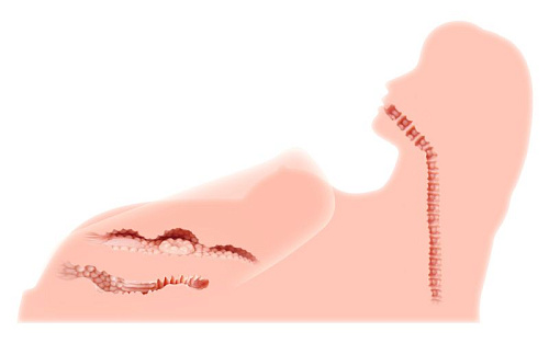 Реалистичный торс «девушка» в телесном цвете с тремя тугими отверстиями, вибрацией, ротацией и голосом KOKOS «Hera 3» M10-03-25V