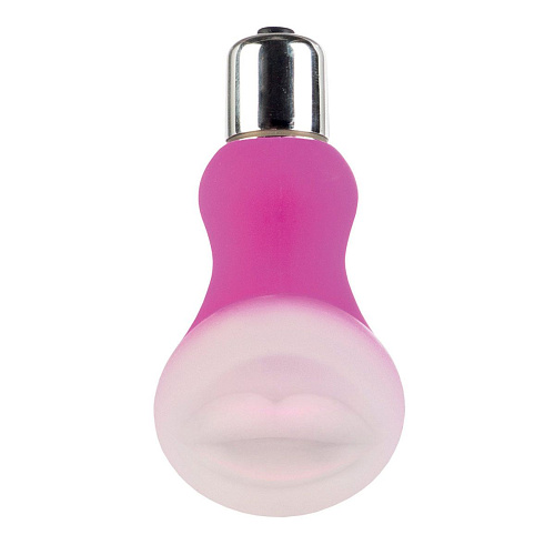 Розовый вибратор с кейсом для заморозки и лепестки роз California Exotic Novelties Smart Set №23