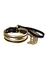 Золотисто-чёрный ошейник с поводком Sitabella 3126-18