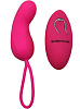 Розовое виброяйцо с пультом ДУ и 12 видами вибрации Baile Clyde BI-014236-1