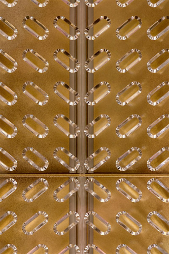 Бело-золотистый контейнер для обработки Rosa Rugosa Security Knight Q3