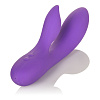 Фиолетовый вибромассажёр с лепестком для стимуляции клитора California Exotic Novelties Silhouette S19 SE-4594-20-3