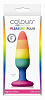 Радужная пробка NS Novelties Colours Pride Edition Pleasure Plug Small NSN-0408-52 (11 см)