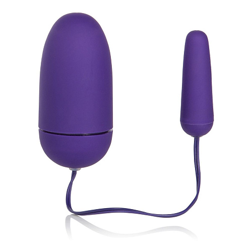 Радиоуправляемый фиолетовый массажёр California Exotic Novelties Decadent SE-0079-14-3