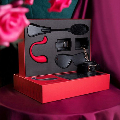 Эротический подарочный набор Svakom LIMITED EDITION BDSM GIFT BOX S99