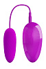 Мощное лиловое виброяйцо с пультом управления и пульсацией Baile Naughty Egg MC29
