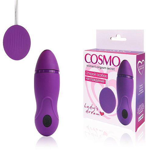 Фиолетовое виброяйцо с пультом управления вибрацией Bior toys Cosmo CSM-23109