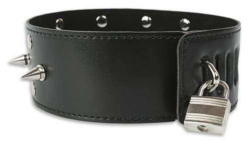 Чёрный широкий ошейник с заклёпками и шипами Пикантные штучки DP072