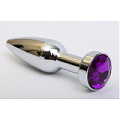 Удлинённая серебристая пробка с фиолетовым кристаллом 4sexdreaM 47437-5 (11,2 см)