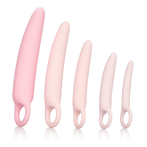Набор из 5 фаллоимитатров телесного цвета разного размера California Exotic Novelties Sili Dilator 5 P SE-4805-05-3