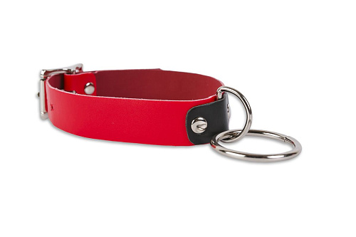 Красный ошейник с колечком Пикантные штучки DP539