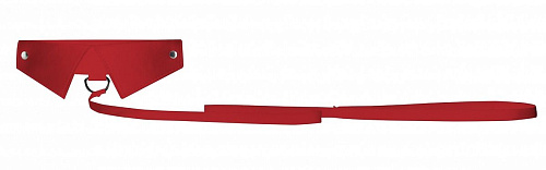 Красный кожаный воротник с поводком Shots Media BV Red OUCH! OU144RED