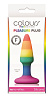 Разноцветная мини-пробка NS Novelties Colours Pride Edition Pleasure Plug Mini NSN-0408-51 (8,9 см)
