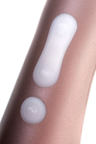 Вакуумно-волновой бронзовый стимулятор Satisfyer Pro2 Vibration J2018-31