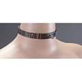 Узенький металлический ошейник с кольцом Подиум Р224