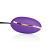 Фиолетовое виброяйцо California Exotic Novelties ENTINCE ELLA SE-4720-15-3