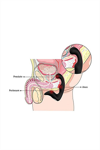 Стимулятор простаты с гибкой головкой чёрного цвета S-HANDE Landy SHD-010
