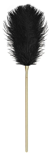 Элегантный золотистый мини-стек Obsessive «2-в-1» пёрышко и плеть A754 crop