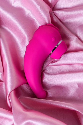 Розовый вакуум-волновой стимулятор клитора с вибрацией ToyFa Dino 119001