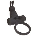 Чёрное эрекционное виброкольцо Bior toys Sex Expert SEM-55058