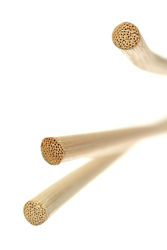 Бежевые розги из лозы ToyFa Theatre 700039 (60 см)