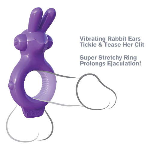 Фиолетовое эрекционное кольцо Pipedream Ultimate Rabbit Ring PD5821-12