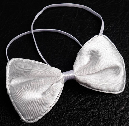 Эротический набор Сима-Ленд «Во власти страсти. Девушка-плейбой» 4672573