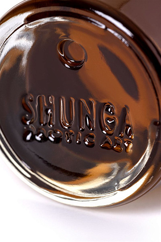 Массажное интимное масло с ароматом шоколада Shunga 2209 (100 мл)