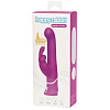 Фиолетовый вибратор с клиторальным стимулятором Happy Rabbit Beaded G-Spot Rechargeable Rabbit Vibrator 71505 (24 см)