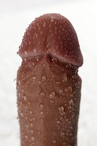 Коричневый фаллоимитатор-реалистик ToyFa Mr.Gomez 982102-1 (21 см)