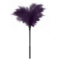 Пластиковая метелочка с фиолетовыми пёрышками Blush Novelties Small Feather Tickler 520023 (32 см)