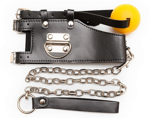 Кляп-шарик с поводком Пикантные штучки DP062