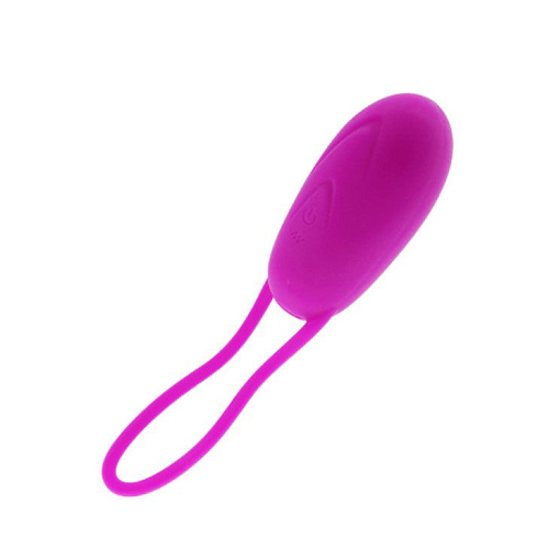 Водонепроницаемое лиловое виброяичко с петелькой Baile Gale BI-014239