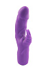 Фиолетовый вибратор с клиторальным стимулятором NMC MATES FANTASY RECHARGE VIBRATOR 111839 (17 см)