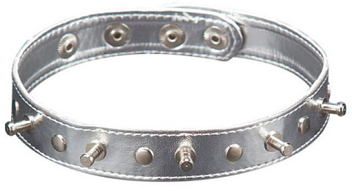 Серебристый ошейник с шипами Sitabella 5034-6