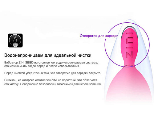 Золотой с черным вибромассажёр ZINI SEED ZV043