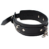 Чёрный кожаный ошейник с поводком RestArt James Neck RA-601