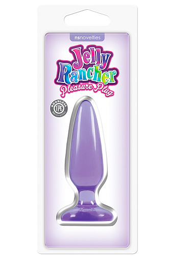 Малая фиолетовая анальная пробка NS Novelties Jelly Rancher Pleasure Plug Small NSN-0450-25 (10,2 см)