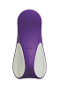 Перезаряжаемый клиторальный стимулятор ежевичного цвета OVO S3 VIOLET