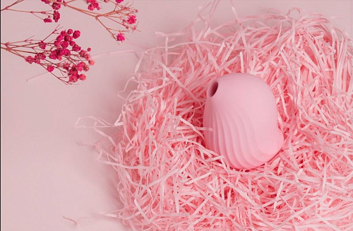 Нежно-розовый вакуум-волновой стимулятор с вибрацией и базой-ночником Cuddly Bird CB-PK