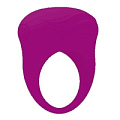 Фиолетовое вибрирующее эрекционное кольцо Baile Bertram BI-210136-0603