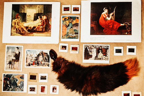 Анальная пробка чёрного цвета с оранжевым лисьим хвостом Wild Lust BF40black/orange