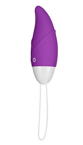 Фиолетовое виброяйцо с пультом ДУ Lovetoy IJOY Remote Control Egg LV1562 purple