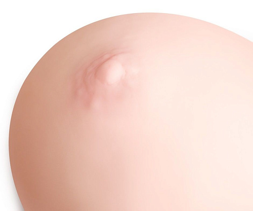 Телесные грудь-вагина ФлешНаш «Лены Берковой» ITBP0001