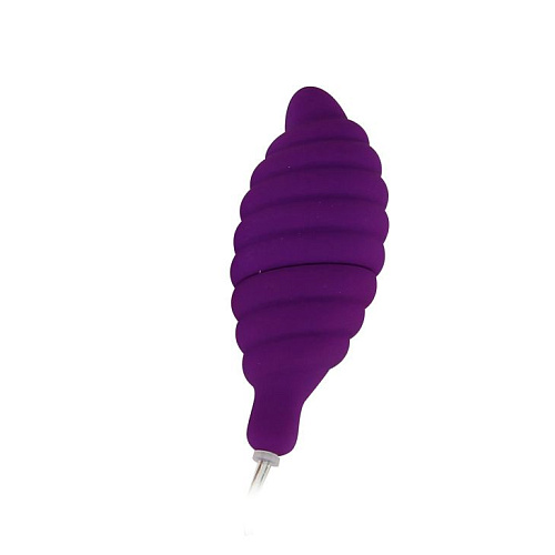 Вибронабор: вагинальные шарики, 5 стимуляторов и пульт-контроллер Baile Climax Combo BW-012005