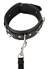 Чёрный ошейник с поводком Orion Collar and Leash 24930041001