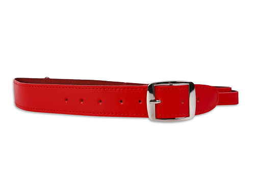 Красный ошейник с поводком Пикантные штучки DP087