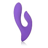 Фиолетовый перезаряжаемый вибратор со стимуляцией клитора California Exotic Novelties Silhouette S17 SE-4593-45-3
